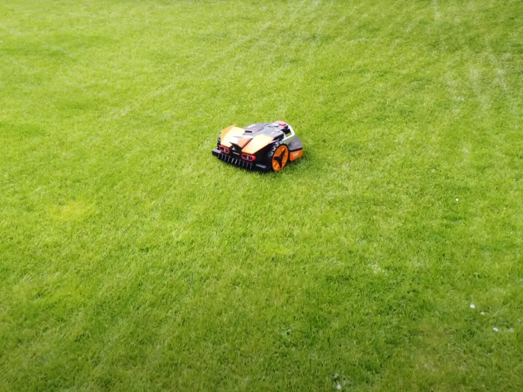 Landroid Vision mowing